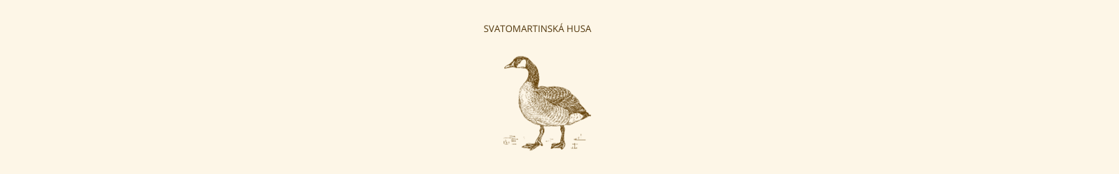 Svatomartinská husa s DNS 18.11.