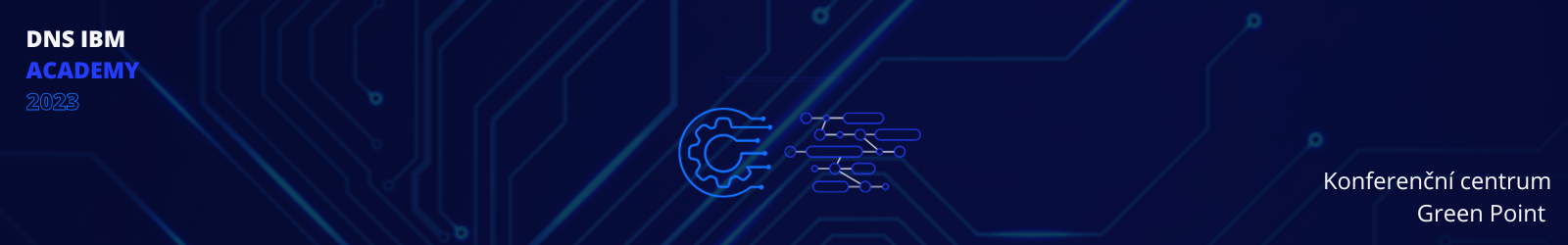 DNS IBM ACADEMY - Data&AI