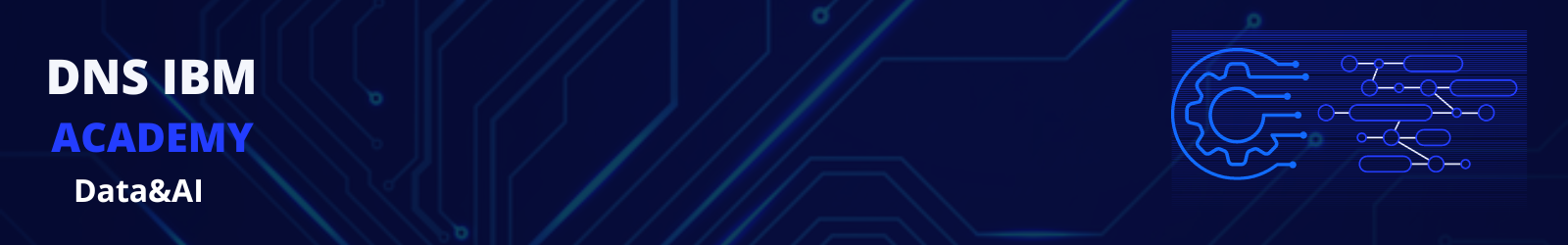 DNS IBM Academy - Data&AI